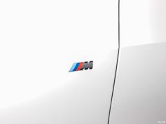 Эксклюзивный спортивный костюм M 2021 xDrive40i 2021 xDrive40i exclusive M sports suit Фото 29 из 57