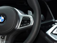 Коллекция xDrive M50i Faye 2020 года 2020 xDrive M50i Faye Collection Edition Фото 7 из 70