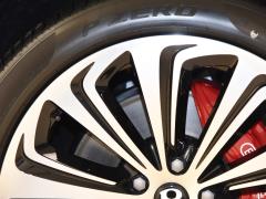 2021 4.0T V8 2021 4.0T V8 Фото 24 из 42