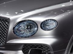 2021 4.0T V8 Первое издание, ограниченное издание 2021 4.0T V8 First Edition Limited Edition Фото 23 из 60