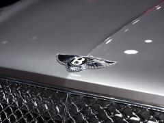 2021 4.0T V8 Первое издание, ограниченное издание 2021 4.0T V8 First Edition Limited Edition Фото 20 из 60