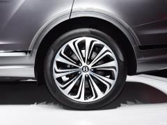 2021 4.0T V8 Первое издание, ограниченное издание 2021 4.0T V8 First Edition Limited Edition Фото 38 из 60