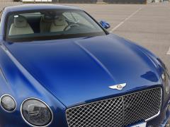 2018 6.0 т GT W12 2018 6.0T GT W12 Фото 17 из 46