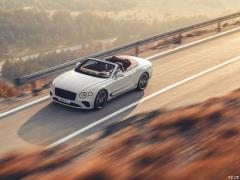2019 6.0T GT W12 Кабриолет 2019 6.0T GT W12 Convertible Фото 18 из 83