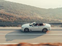 2019 6.0T GT W12 Кабриолет 2019 6.0T GT W12 Convertible Фото 21 из 83
