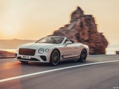 2019 6.0T GT W12 Кабриолет 2019 6.0T GT W12 Convertible Фото 16 из 83