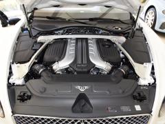 2019 6.0T GT W12 Кабриолет 2019 6.0T GT W12 Convertible Фото 33 из 83