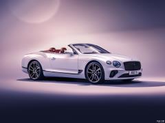 2019 6.0T GT W12 Кабриолет 2019 6.0T GT W12 Convertible Фото 7 из 83