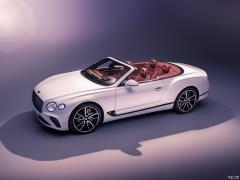 2019 6.0T GT W12 Кабриолет 2019 6.0T GT W12 Convertible Фото 9 из 83