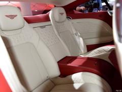2018 6.0 т GT W12 2018 6.0T GT W12 Фото 152 из 156