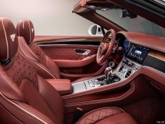 2019 6.0T GT W12 Кабриолет 2019 6.0T GT W12 Convertible Фото 113 из 156
