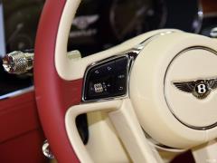 2018 6.0 т GT W12 2018 6.0T GT W12 Фото 9 из 42