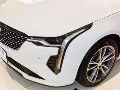 2021 28T люкс 2021 28T luxury Фото 82 из 110