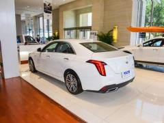 2021 28T люкс 2021 28T luxury Фото 11 из 110