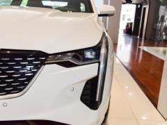 2021 28T люкс 2021 28T luxury Фото 80 из 110
