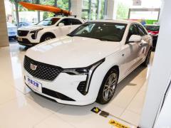 2021 28T люкс 2021 28T luxury Фото 7 из 110