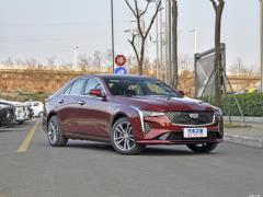 2021 28T люкс 2021 28T luxury Фото 19 из 168