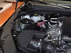 2021 модель подтяжка лица 28T роскошная модель 2021 model facelift 28T luxury model Фото 141 из 198