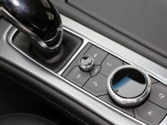 2021 модель подтяжка лица 28T роскошная модель 2021 model facelift 28T luxury model Фото 135 из 388