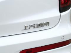 Шестиместный полноприводный роскошный автомобиль 2021 2.0T 2021 2.0T six-seater four-wheel drive luxury Фото 59 из 123