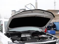 Шестиместный полноприводный роскошный автомобиль 2021 2.0T 2021 2.0T six-seater four-wheel drive luxury Фото 20 из 123