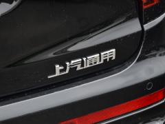 2021 2.0T шестиместный полноприводный люкс 2021 2.0T six-seater two-wheel drive luxury Фото 350 из 428