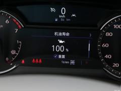 2021 2.0T семиместный полноприводный люкс 2021 2.0T seven-seater four-wheel drive luxury Фото 315 из 872