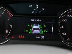 2021 2.0T семиместный полноприводный люкс 2021 2.0T seven-seater four-wheel drive luxury Фото 314 из 872