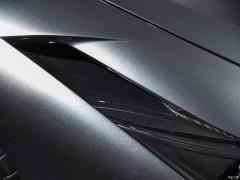Tributo 3.9T V8 2019 года 2019 Tributo 3.9T V8 Фото 31 из 75
