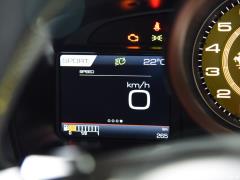 2020 Spider 3.9T V8 2020 Spider 3.9T V8 Фото 83 из 363