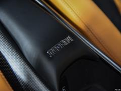 Tributo 3.9T V8 2019 года 2019 Tributo 3.9T V8 Фото 185 из 363