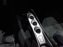 Tributo 3.9T V8 2019 года 2019 Tributo 3.9T V8 Фото 208 из 363
