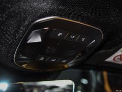 Tributo 3.9T V8 2019 года 2019 Tributo 3.9T V8 Фото 337 из 363