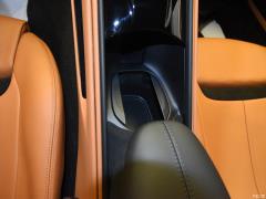 2020 модель 3.9T V8 2020 3.9T V8 Фото 22 из 47