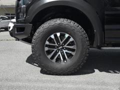 Версия с улучшенной производительностью 3.5T Raptor 2019 года 2019 3.5T Raptor performance enhanced version Фото 111 из 174