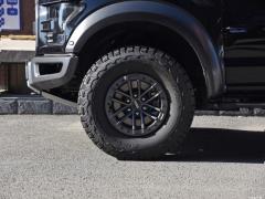 Ограниченная серия дисков Blu-ray Raptor Polar 3.5T, 2019 г. 2019 3.5T Raptor Polar Blu-ray Limited Edition Фото 52 из 174