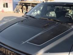 Версия с улучшенной производительностью 3.5T Raptor 2019 года 2019 3.5T Raptor performance enhanced version Фото 20 из 48