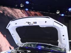 Модель 2019 года 3.5T LTD 2019 model 3.5T LTD Фото 47 из 55