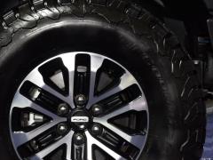 Версия с улучшенной производительностью 3.5T Raptor 2019 года 2019 3.5T Raptor performance enhanced version Фото 26 из 52