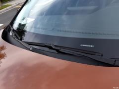 2021 Safari Edition EcoBoost 180 Автоматическая охота на приливы 2021 Safari Edition EcoBoost 180 Automatic Tide Hunting Фото 47 из 95