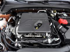2021 Safari Edition EcoBoost 180 Автоматическая охота на приливы 2021 Safari Edition EcoBoost 180 Automatic Tide Hunting Фото 14 из 95
