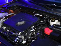 2021 Safari Edition EcoBoost 180 Автоматическая охота на приливы 2021 Safari Edition EcoBoost 180 Automatic Tide Hunting Фото 51 из 95