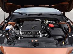 2021 Safari Edition EcoBoost 180 Автоматическая охота на приливы 2021 Safari Edition EcoBoost 180 Automatic Tide Hunting Фото 13 из 95
