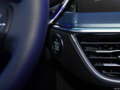 2021 Safari Edition EcoBoost 180 Автоматическая охота на приливы 2021 Safari Edition EcoBoost 180 Automatic Tide Hunting Фото 256 из 602