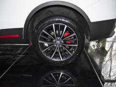 Полноприводная версия 1.8TD DCT 2021 года для Азиатских игр 2021 1.8TD DCT two-wheel drive Asian Games version Фото 208 из 536