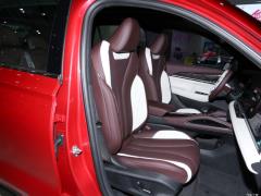 2021 2.0TD мощная автоматическая полноприводная модель премиум-класса 2021 2.0TD high-power automatic four-wheel drive premium model Фото 398 из 512