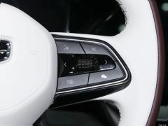 2021 2.0TD мощная автоматическая полноприводная модель премиум-класса 2021 2.0TD high-power automatic four-wheel drive premium model Фото 133 из 512