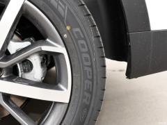 2021 1.5T с приводом на два колеса я ослепляю 2021 1.5T two-wheel drive i dazzle Фото 309 из 339