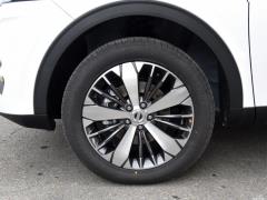 2021 2.0T Two-Wheel Drive Extreme Smart Technology Edition 2021 2.0T Two-wheel Drive Extreme Smart Technology Edition Фото 121 из 354