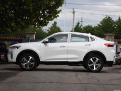 2021 2.0T Two-Wheel Drive Extreme Smart Technology Edition 2021 2.0T Two-wheel Drive Extreme Smart Technology Edition Фото 10 из 354